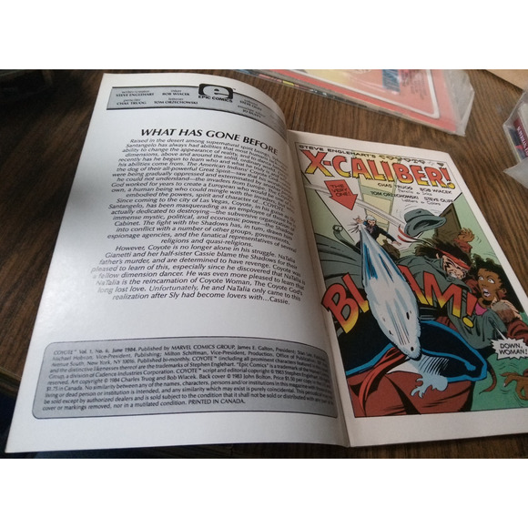 Coyote #6 (June 1984 Marvel/Epic Comics) - Picture 3 of 3